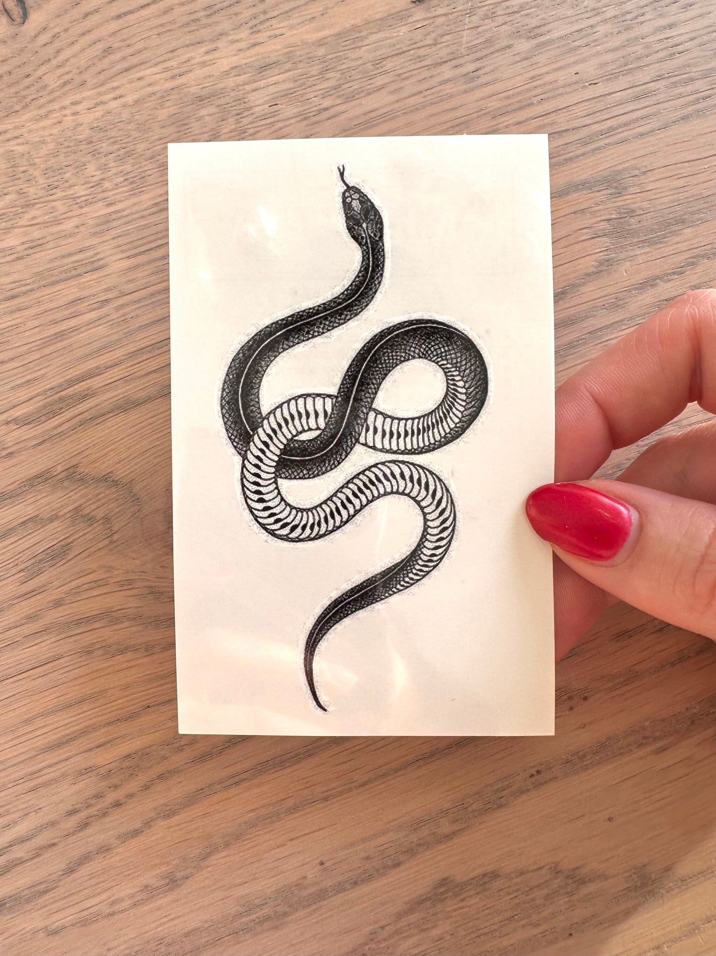 Snake Simple Medium (set of 2) - Temporary Tattoo