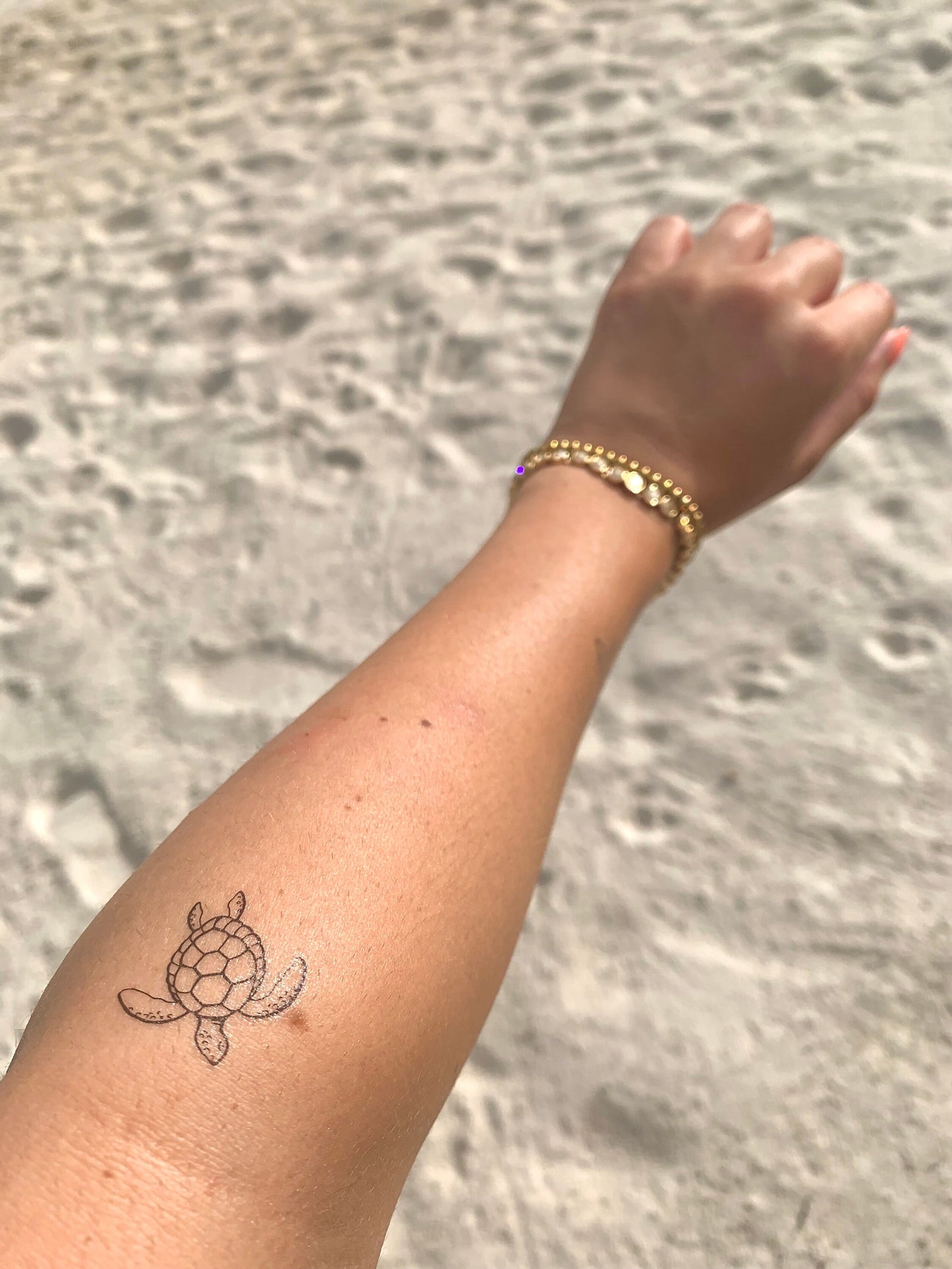 Turtle (set of 2) - Temporary Tattoo