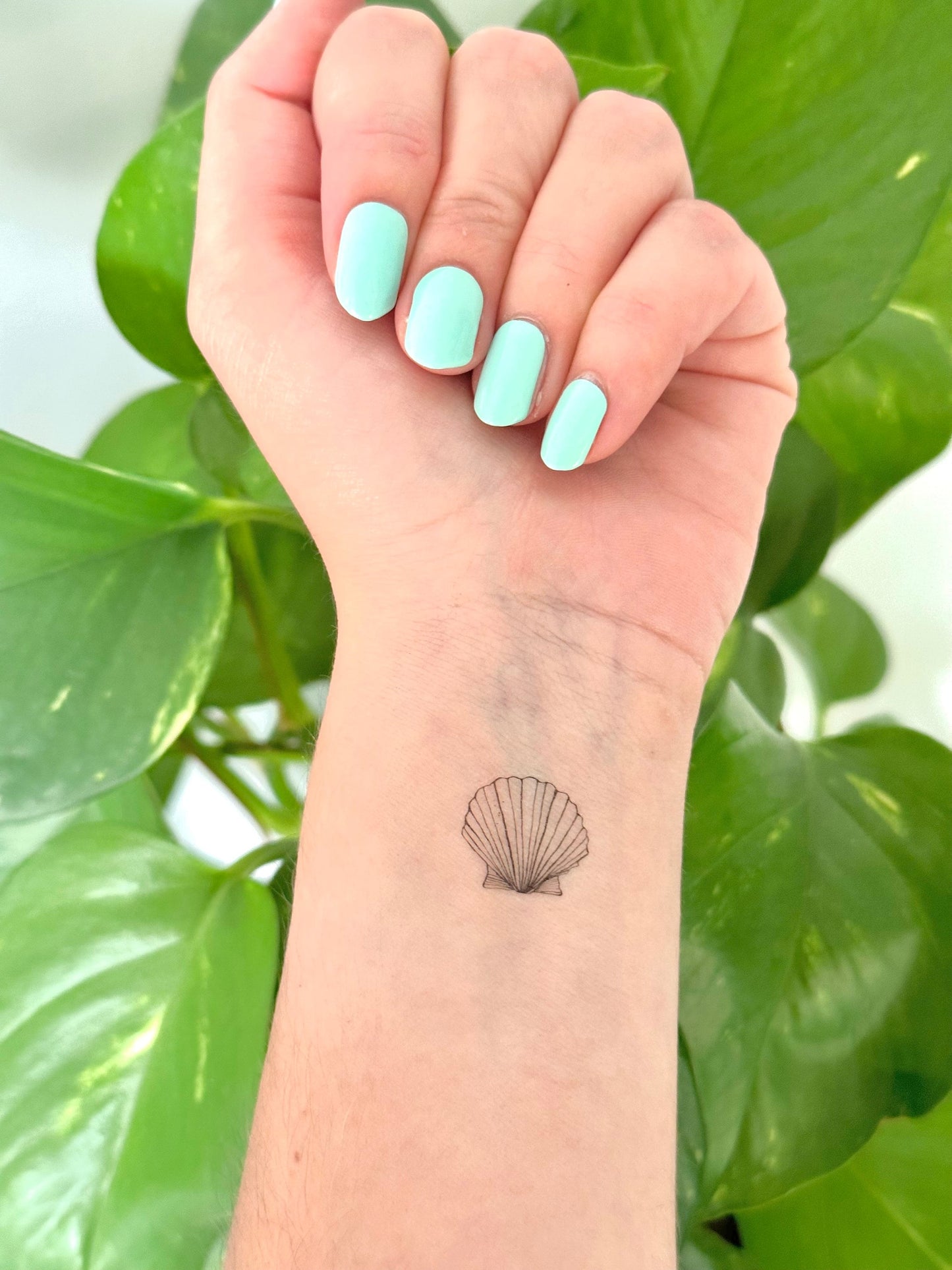 Shell (set of 2) - Temporary Tattoo