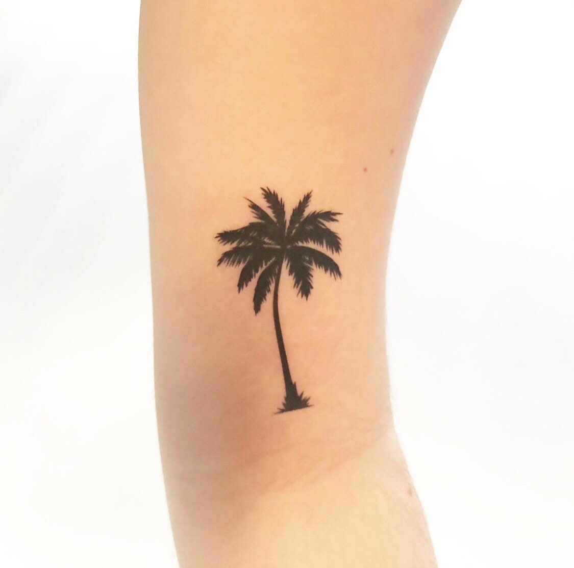 Palm Tree Temporary Tattoo Tattoodayweek