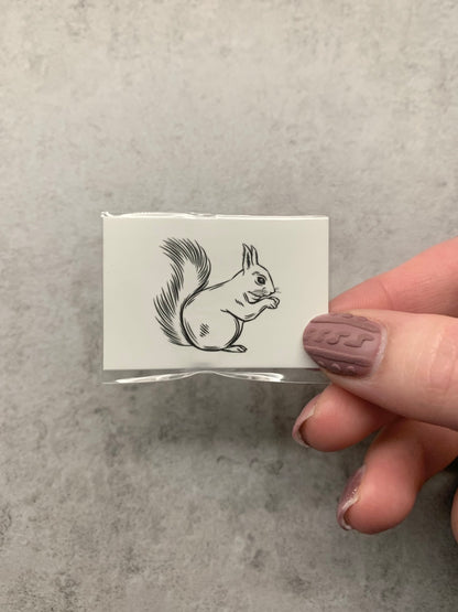 Squirrel (set of 2) - Temporary Tattoo