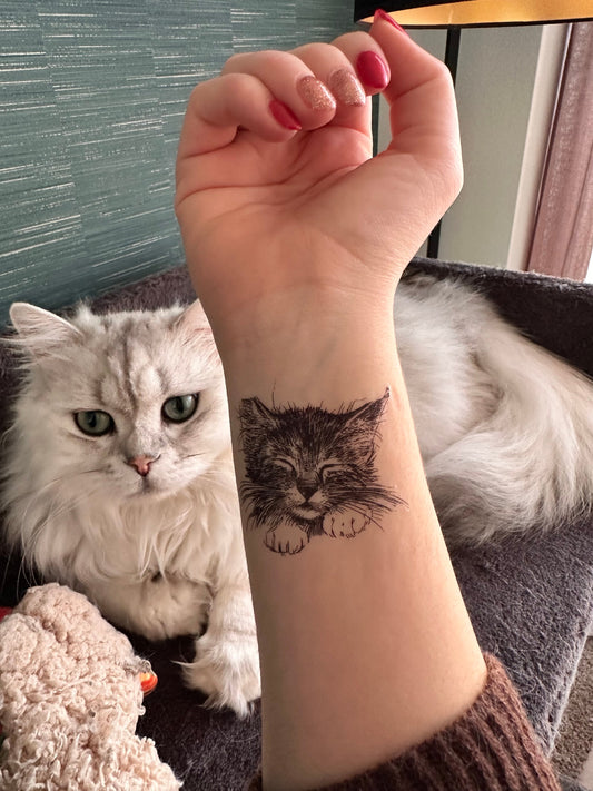 Cat Drawing (set of 2) - Temporary Tattoo