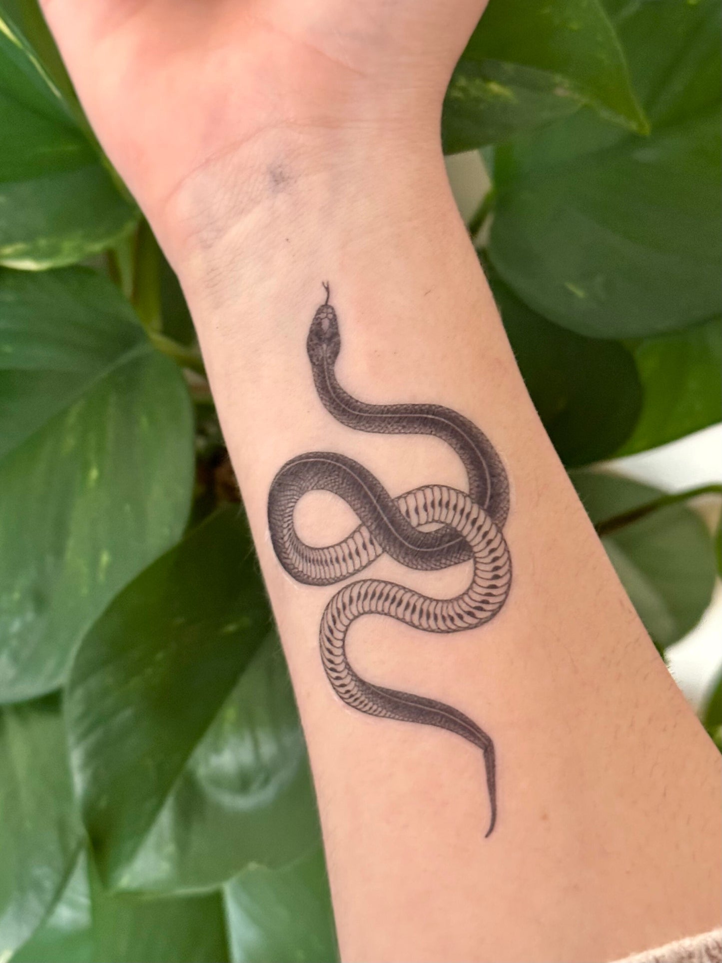 Snake Simple Medium (set of 2) - Temporary Tattoo